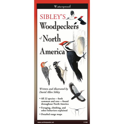 The cover image of Sibley’s Woodpeckers of North America folding guide featuring a selection of illustrations of woodpeckers in profile and in flight against a white background