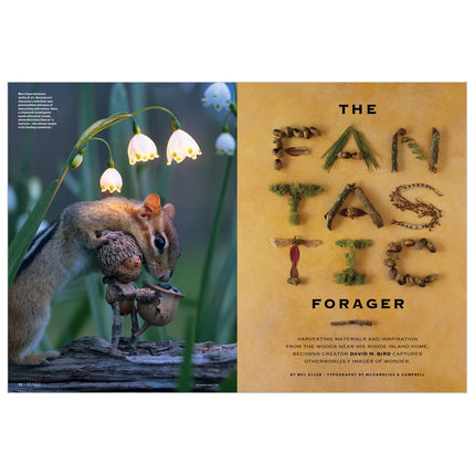 Squirrel holding a small figurine with flowers and text 'The Fantastic Forager' on a beige background.