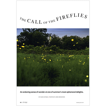 Book cover of 'The Call of the Fireflies' with fireflies in a field.