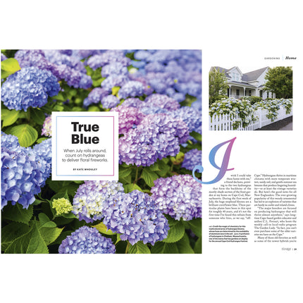 Magazine page with hydrangea flowers and a house exterior.