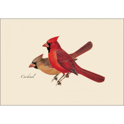 a close up of the art on one of the notecards featuring an illustration of a male and female Cardinal