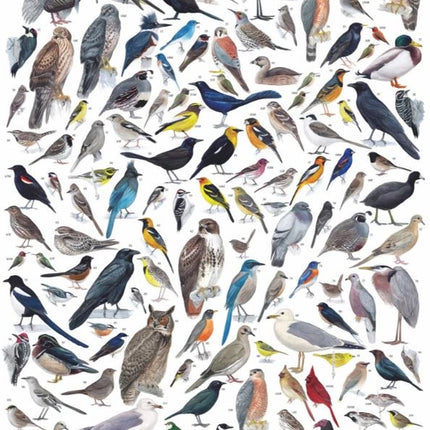 Birds of Western North America Jigsaw Puzzle 1000 Piece