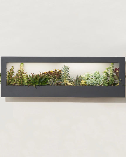 Smart Led Light Landscape Growframe