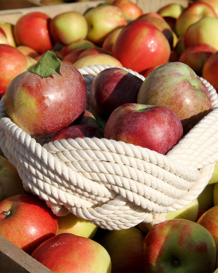 a hand woven white cotton rope bowl filled with 5 or 6 large apples resting on a bed of apples
