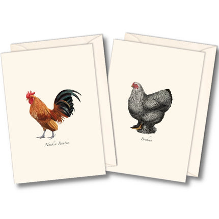 the two notecard designs in the chicken notecard assortment - a Nankin Bantam Rooster, and a Brahma hen
