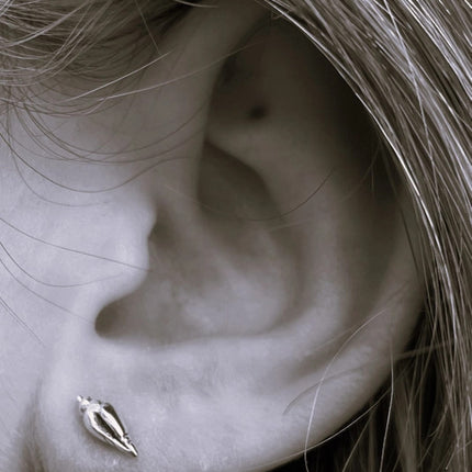 a black and white close up of a model's ear wearing the conch shell earrings