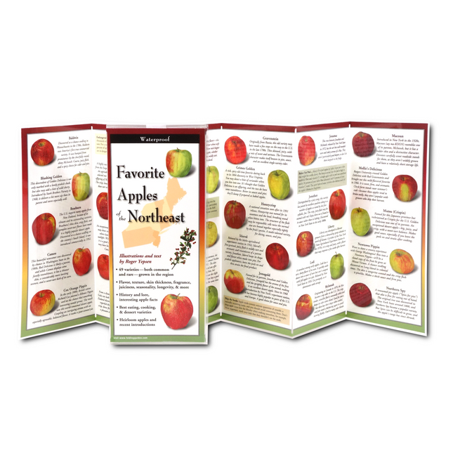 Favorite Apples of the Northeast, Folding Guide