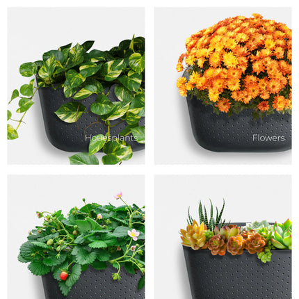 a graphic showing 4 eco planters filled with different plants to show the planter's versatility: Houseplants, Flowers, Edibles, and Succulents