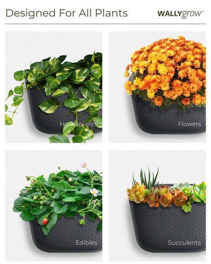 a graphic showing 4 eco planters filled with different plants to show the planter's versatility: Houseplants, Flowers, Edibles, and Succulents