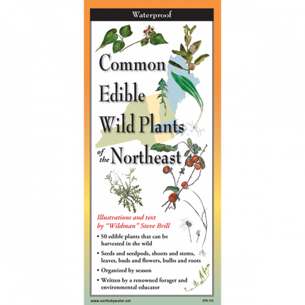The cover image of edible plants of the northeast folding guide featuring a selection of illustrations of edible plants against a map of the Northeastern US states