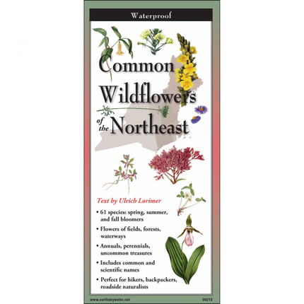The cover image of Common Wildflowers of the Northeast folding guide featuring a selection of illustrations of wildflowers against a map of the Northeastern US states