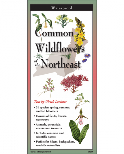 The cover image of Common Wildflowers of the Northeast folding guide featuring a selection of illustrations of wildflowers against a map of the Northeastern US states
