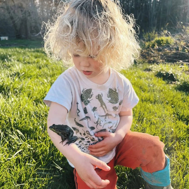 Child holding a frog outdoors in a grassy area while wearing the Frog Metamorphosis tee which shows the life cycle of a frog