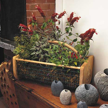 Garden Hod planter