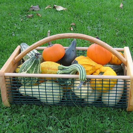 Harvest and wash your garden's veggies with a hod