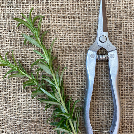 Garden Snips