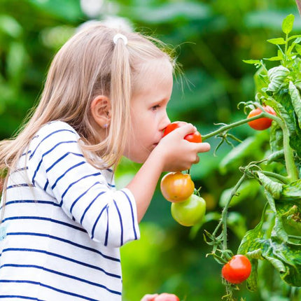 The Old Farmer's Almanac Organic Tomato & Vegetable 8-4-8 Plant Food