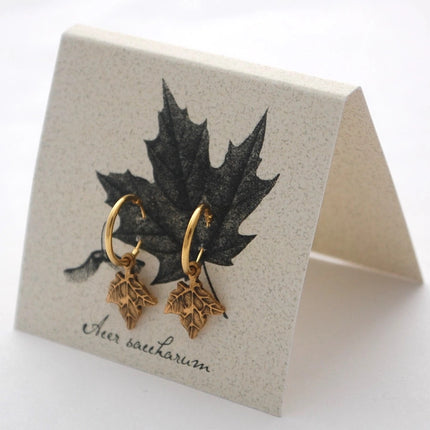 gold maple hoop earrings on an off white backer card printed with a black and gray illustration of a maple leaf