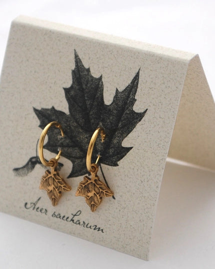 gold maple hoop earrings on an off white backer card printed with a black and gray illustration of a maple leaf