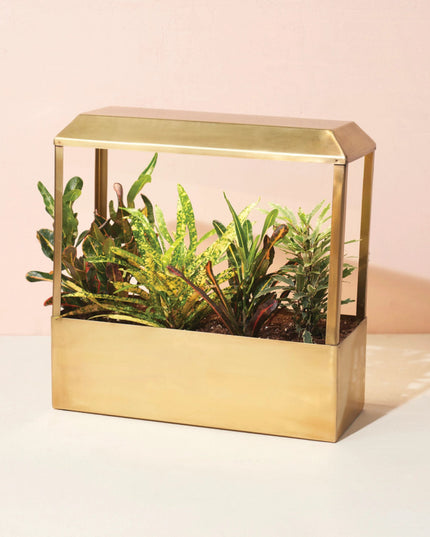 a brass countertop growhouse with sleek modern design and LED grow lights filled with lush houseplants