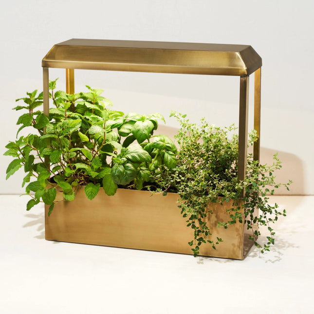 modern plant grow lights Smart Growhouse