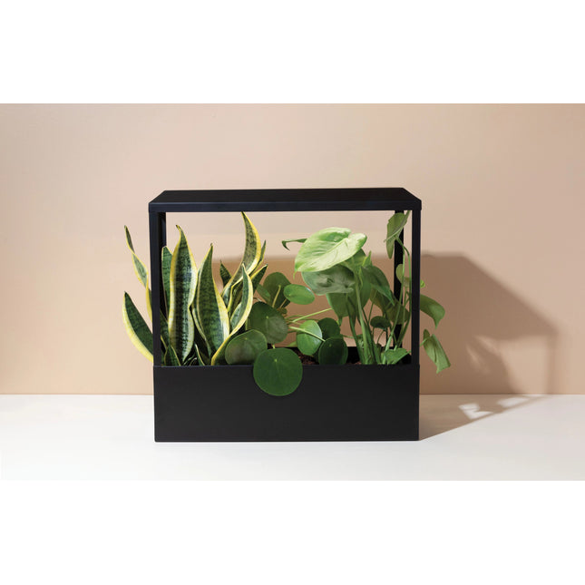 a matte black countertop growhouse with sleek modern design and LED grow lights