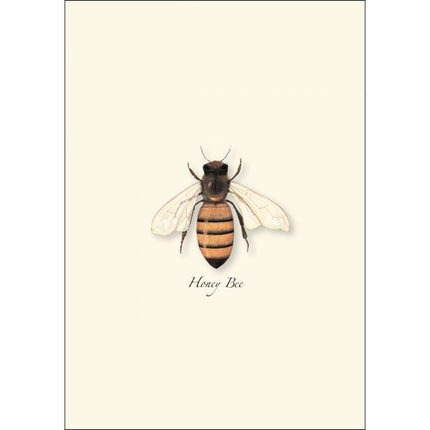 a close up of the honey bee illustration on the notecard