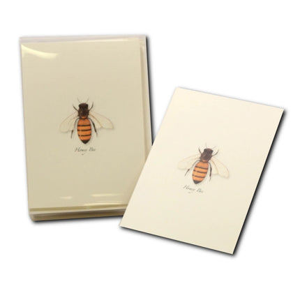 the honey bee notecard package next to a single honey bee notecard