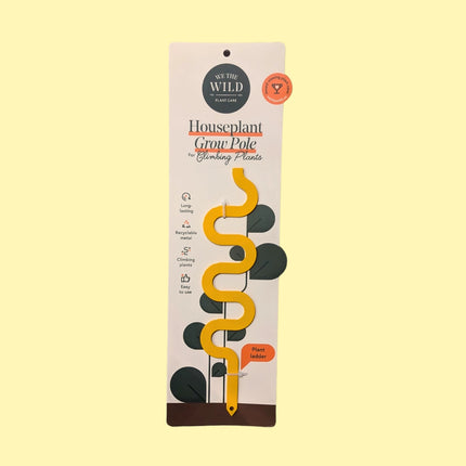the houseplant grow pole in its package against a pale yellow background