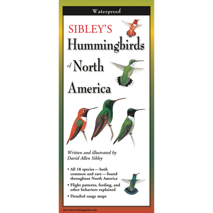 The cover image of Sibley’s Hummingbirds of North America folding guide featuring a selection of illustrations of hummingbirds against a white background