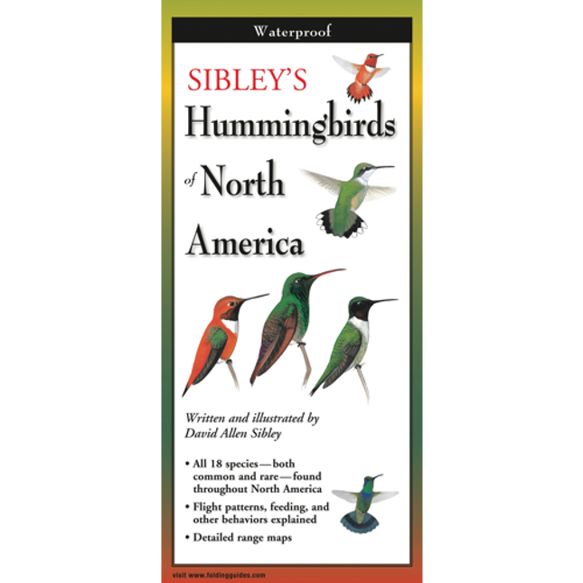 The cover image of Sibley’s Hummingbirds of North America folding guide featuring a selection of illustrations of hummingbirds against a white background