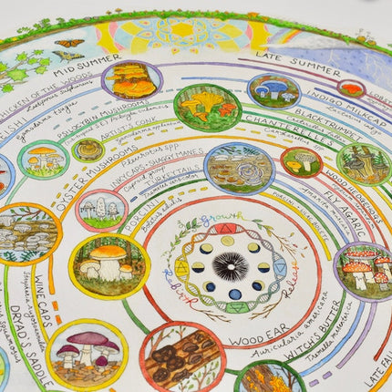 Giclée Art Print - Mushroom Foraging Calendar