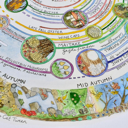Giclée Art Print - Mushroom Foraging Calendar