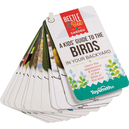 kids guide to the birds cards fanned showing the range of birds to identify