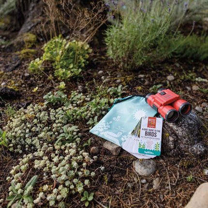 the birdwatching guide, binoculars, and carrying case on a rock in a mossy garden