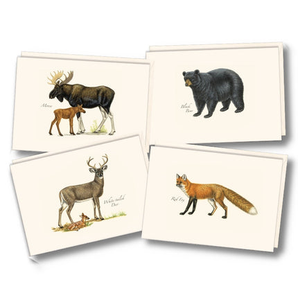 the four notecards in the mammal notecard assortment featuring moose, a black bear, red fox, and white tailed deer