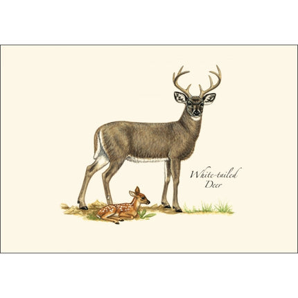 a close up of the art on one of the notecards featuring an illustration of a male white tailed deer and fawn