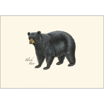 a close up of the art on one of the notecards featuring an illustration of a black bear