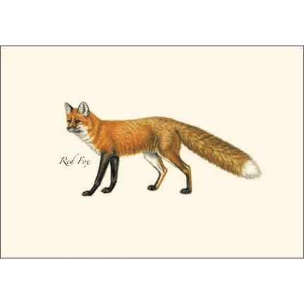 a close up of the art on one of the notecards featuring an illustration of red fox