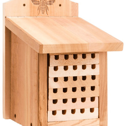 Collection image for: Backyard Feeders & Houses
