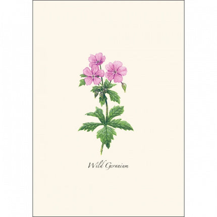 a close up of the art on one of the notecards featuring a Wild Geranium illustration