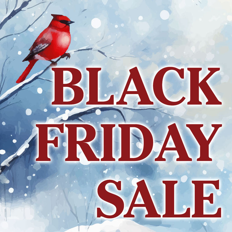 Red cardinal bird on a branch with 'Black Friday Sale' text against a snowy background