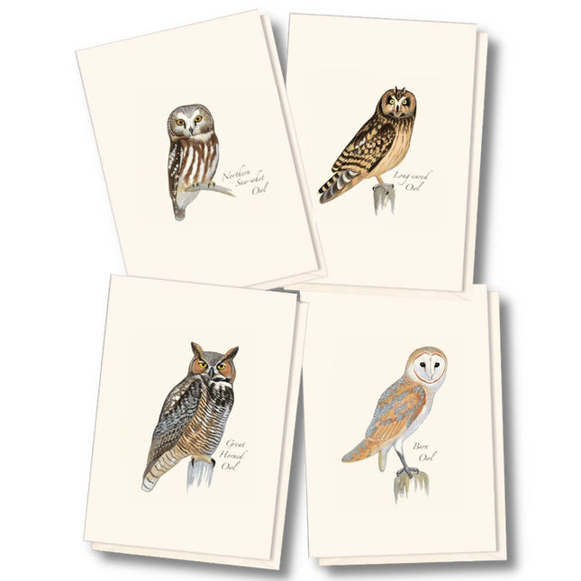 the four notecards in the Sibley Owl Assortment: northern saw-whet owl, long eared owl, great horned owl, and barn owl