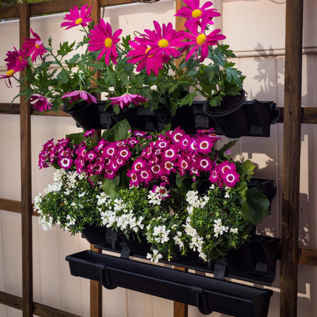 Picture Garden Starter Kit