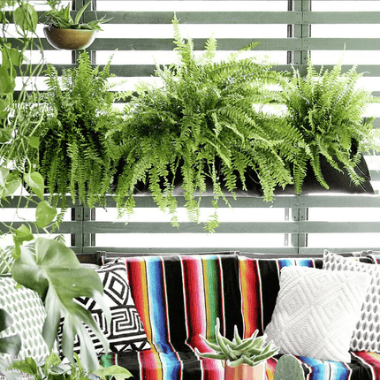 Pocket Wall Planter