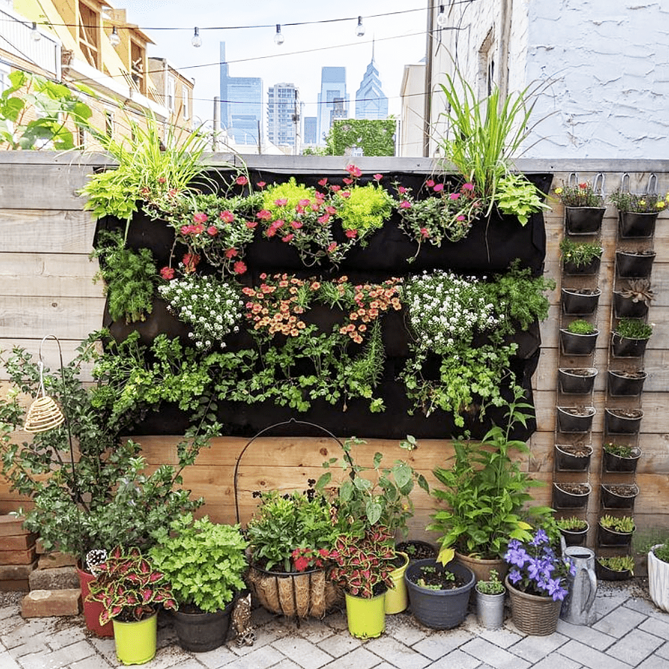 plastic wall planter WallyGrow 5-Pocket Living-Wall Pocket Planter With Watering Channel For Indoor Or Outdoor Use, Wall-Hanging Planter For Plant Wall (Black)