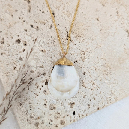 a delicate gold chain with a real oyster shell charm that is dipped in 14k gold where is attaches to the chain