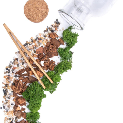 Jar Terrarium with Soil and Moss Garden Crafts Kit