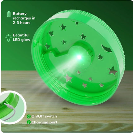 the LEDlight on the lid of the terrarium showing the light source
