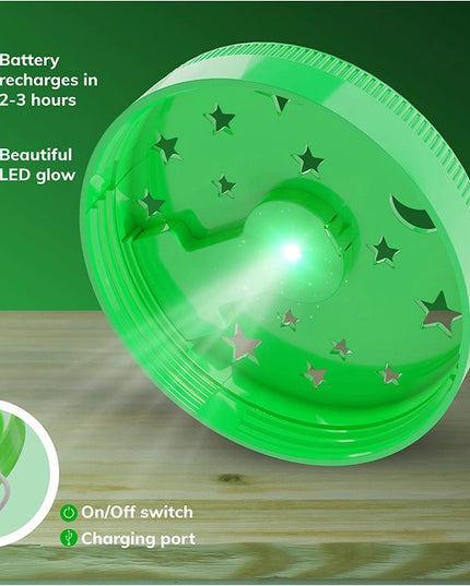 the LEDlight on the lid of the terrarium showing the light source